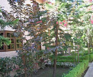 فندق Corbett Treff Dhikuli المظهر الخارجي الصورة